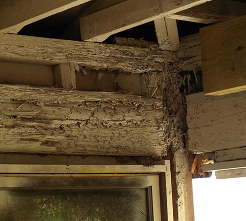 Traitement de charpente à Aigremont (78240) dans les Yvelines (78) - ETS B.Marchal Couverture